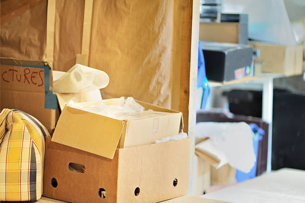 Best Carpet Removal and Disposal  in Rockford, MN